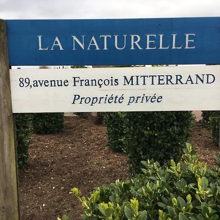 Vue Mer Sur La Cote D'Opale, Studio La Naturelle Pour 4 Personnes , Wimereux Zewnętrze zdjęcie
